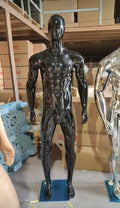 LM Manequin