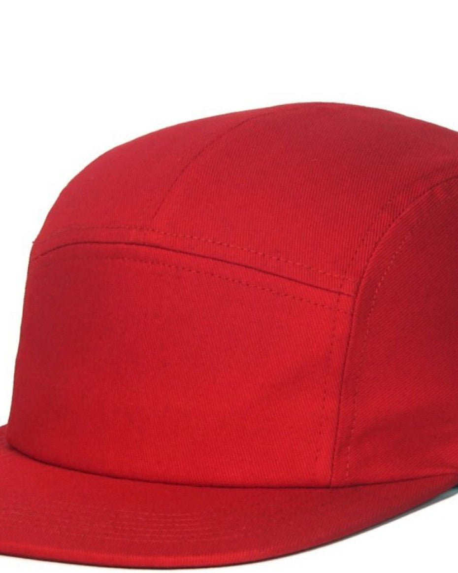 5D PANEL HATS